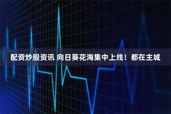 配资炒股资讯 向日葵花海集中上线！都在主城