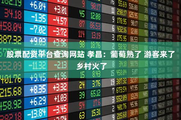 股票配资平台查询网站 孝昌：葡萄熟了 游客来了 乡村火了