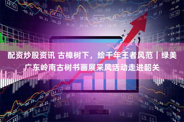 配资炒股资讯 古樟树下，绘千年王者风范｜绿美广东岭南古树书画展采风活动走进韶关