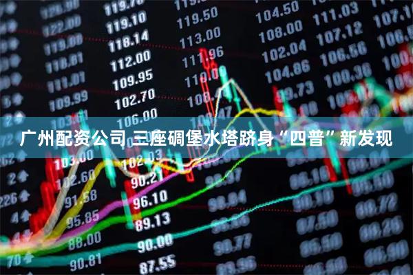 广州配资公司 三座碉堡水塔跻身“四普”新发现