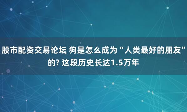 股市配资交易论坛 狗是怎么成为“人类最好的朋友”的? 这段历史长达1.5万年