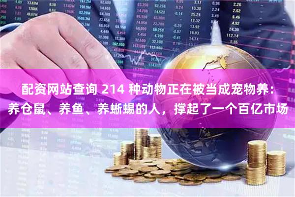 配资网站查询 214 种动物正在被当成宠物养：养仓鼠、养鱼、养蜥蜴的人，撑起了一个百亿市场